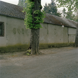 Colonie agricole pénitenciaire de Mettray